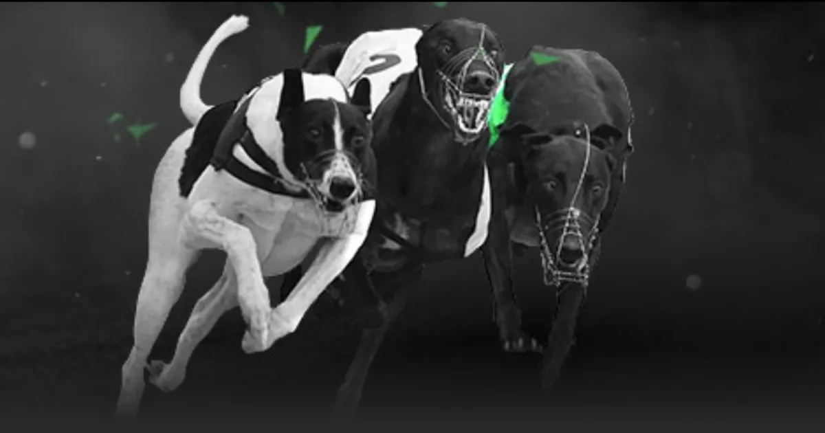 赵明剑,职场二十年,画上圆满句,乐彩登录入口,乐彩平台,乐彩注册网址,乐彩app,乐彩官网,乐彩网站,乐彩网页版