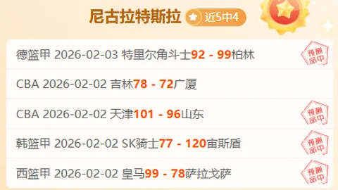 大乐透期号专家质合分析：前区十码预测帕德博恩胜布伦瑞克