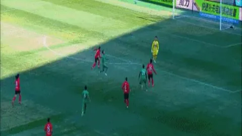 大乐透期号专家推荐：灰熊主场意外惊喜分析